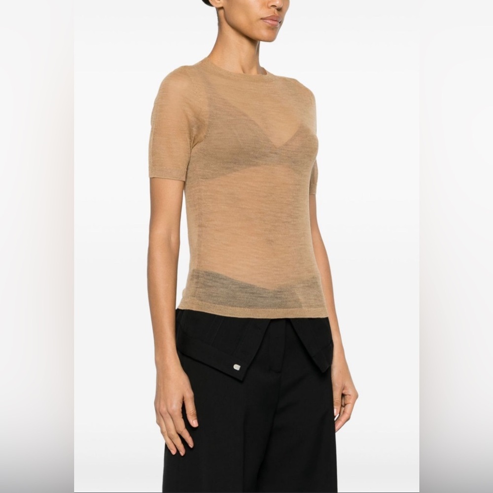 See thru light pink shimmering top ✨